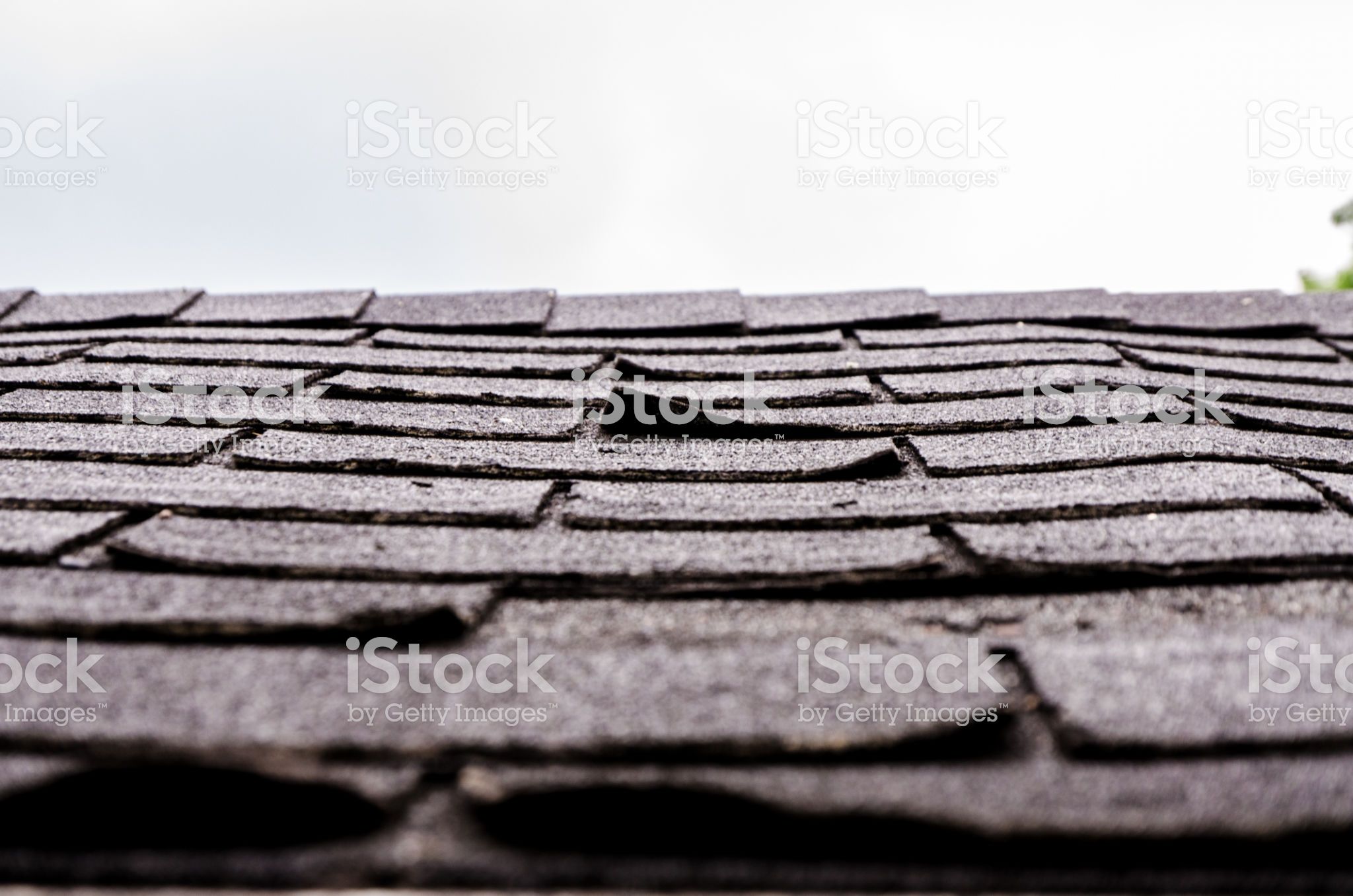 roof repair